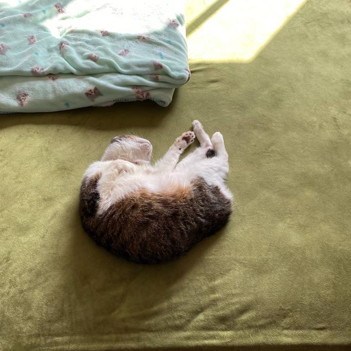 8160494a e159 4c1e a5f7 93e5c584a57f 1601186448286