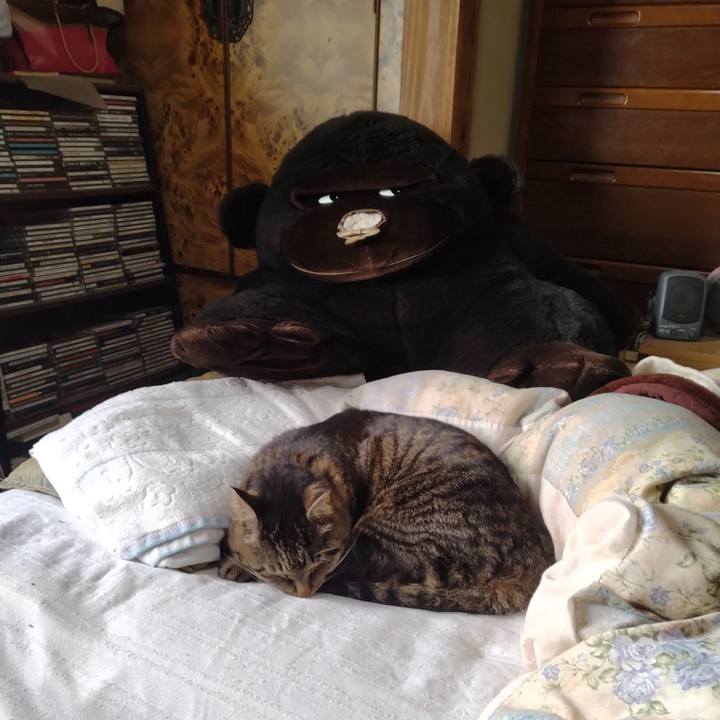 81606db0 abee 4741 8176 160f95affba6 1712120921418