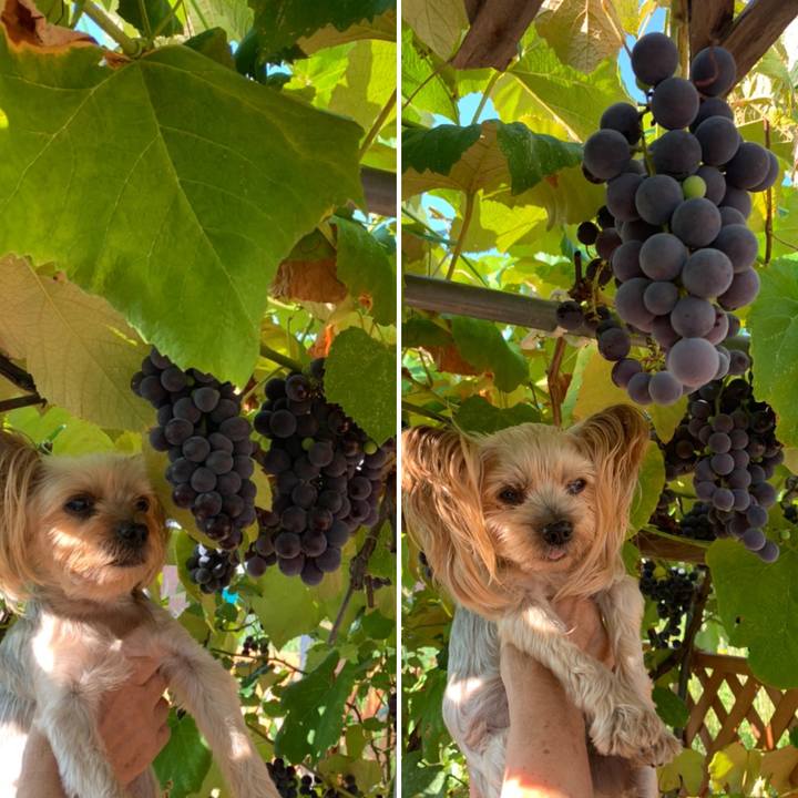 8160b201 da20 4737 a3d1 60bf3b803856 1630143447650