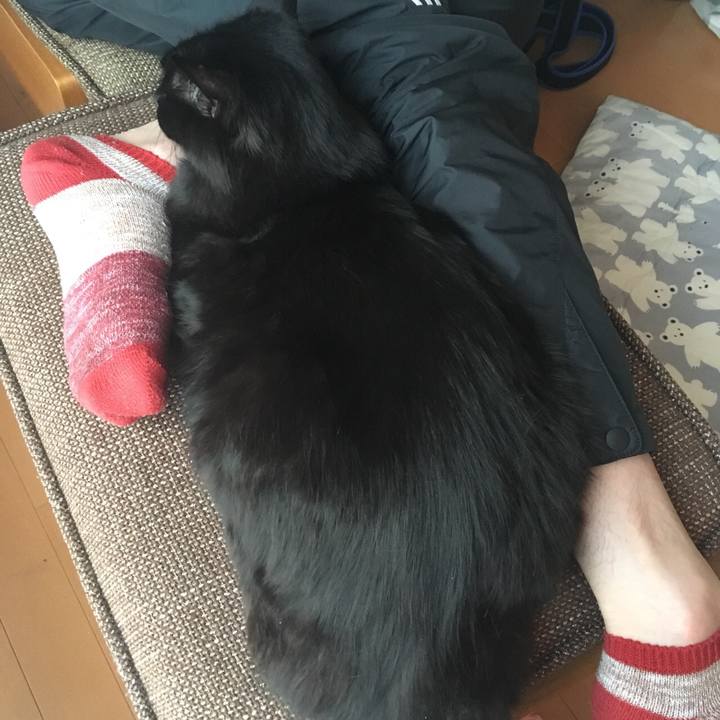 8160c578 32b7 4893 8c1f 3540823e1ae7 1525260290351