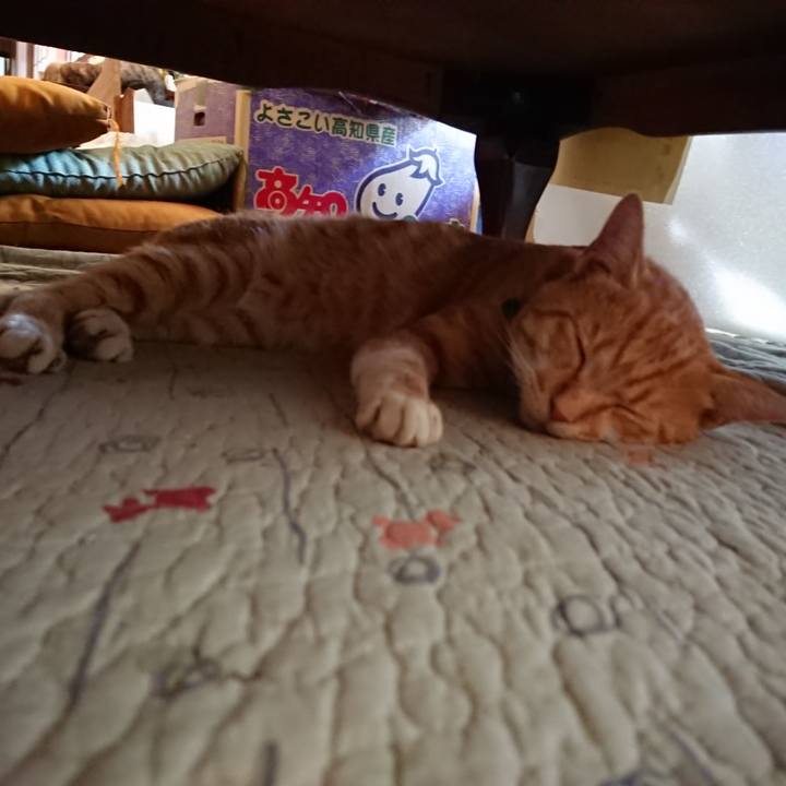 8160e9e2 d159 4918 9b8b 51916b189e94 1564195641637