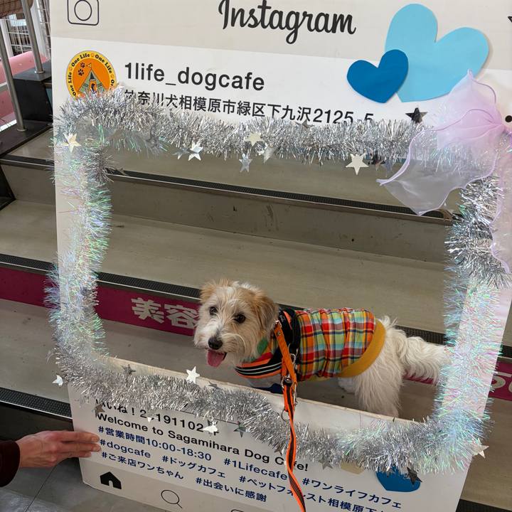 81615ad7 8548 4ac6 b570 a161fb918198 1772269412583