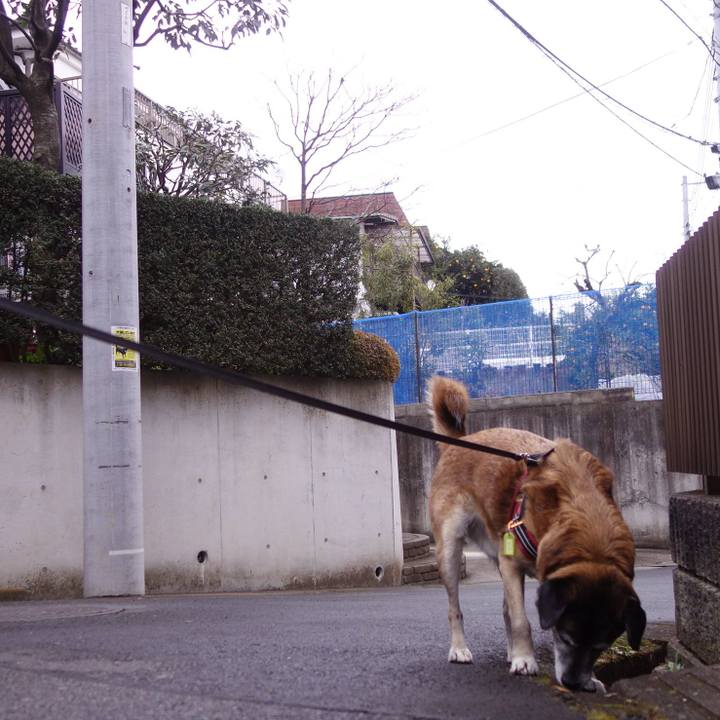 8161784d 5b92 4268 bab8 9d682b7f05b7 1547340497538