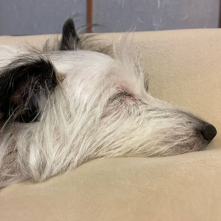 8161d3dd 1903 4368 bd78 a9f858292833 1704550297834