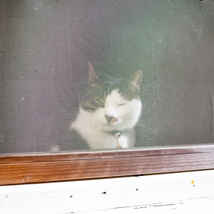 8161f097 5838 4378 b696 5cc42093e244 1582076625230