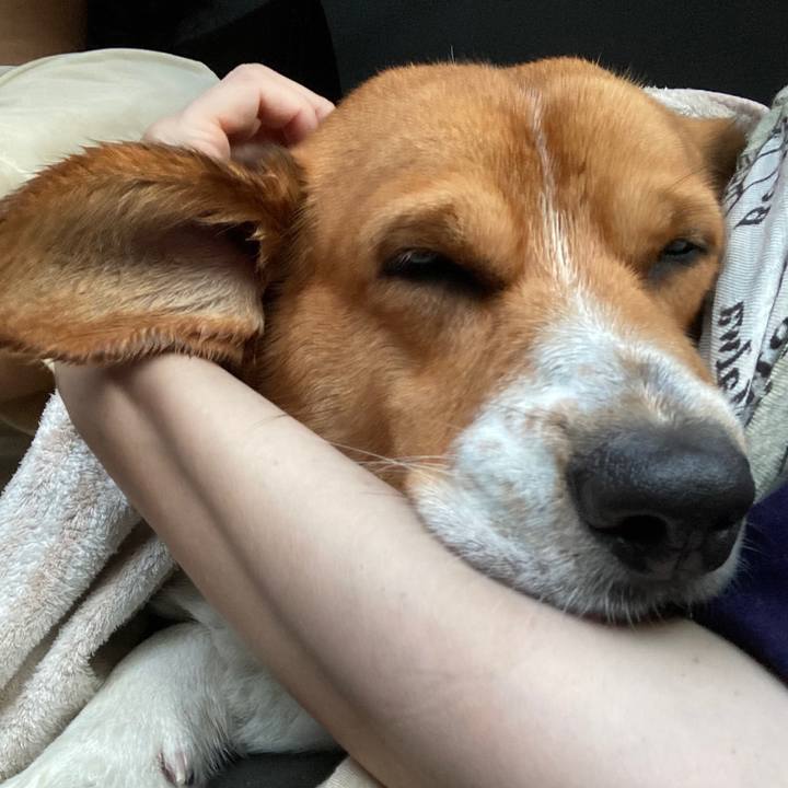 816205d6 b939 40ba b249 6b6c2fa1e8c6 1692578841844