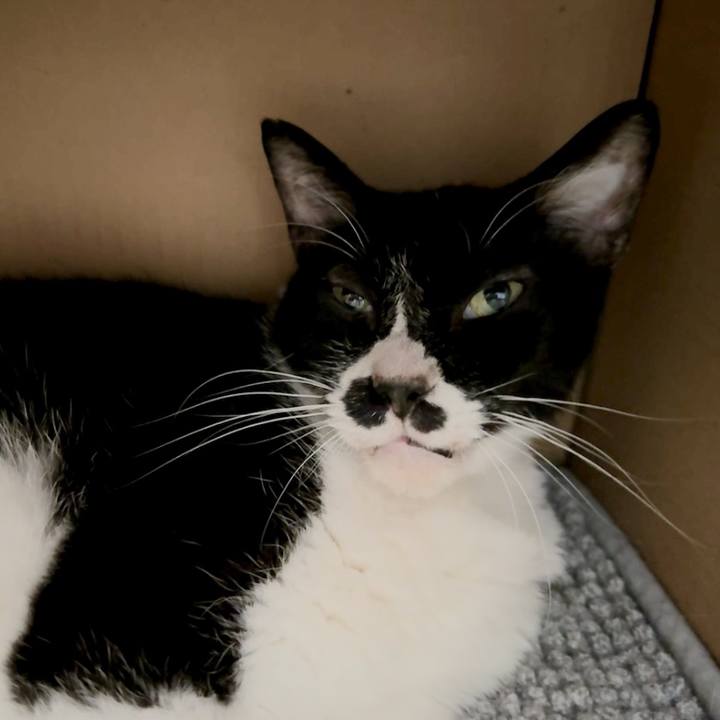 81623a5b 4e48 4528 a897 e1deb1b9c8ce 1724473240300