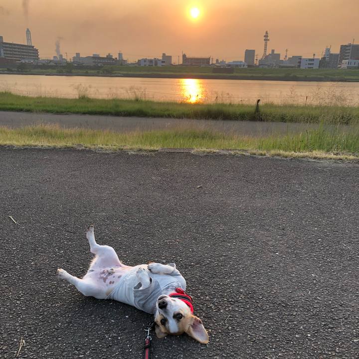 8162448b 7c9f 468d 9777 9934c6da8532 1560985108065