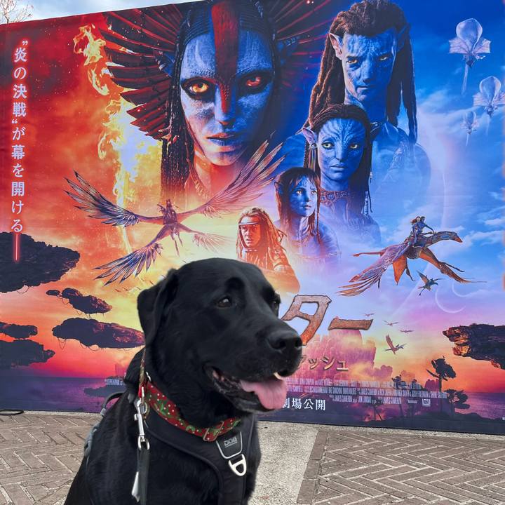 81625d0e 74a2 4cea aa1f 38ba18b679b7 1766064010514