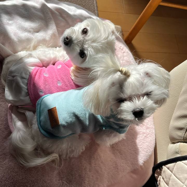 8162679b 5222 43f9 990b 5aa35348afe2 1731921749383