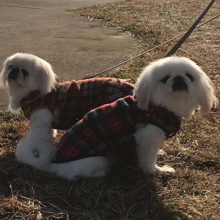 81627220 9eba 49e3 896f 77d9037e1813 1518053570599