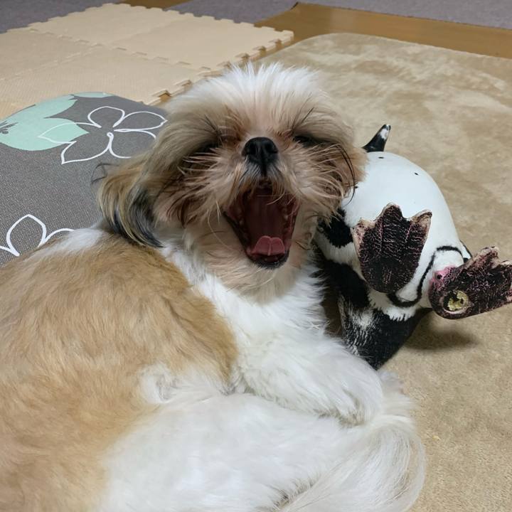 816273f0 bfbc 457c bab1 734ed388e7ef 1606049897373