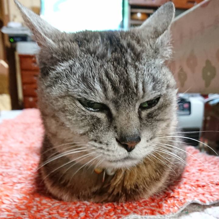 81627530 f18d 4d19 b099 d9c818b2181d 1563877648605