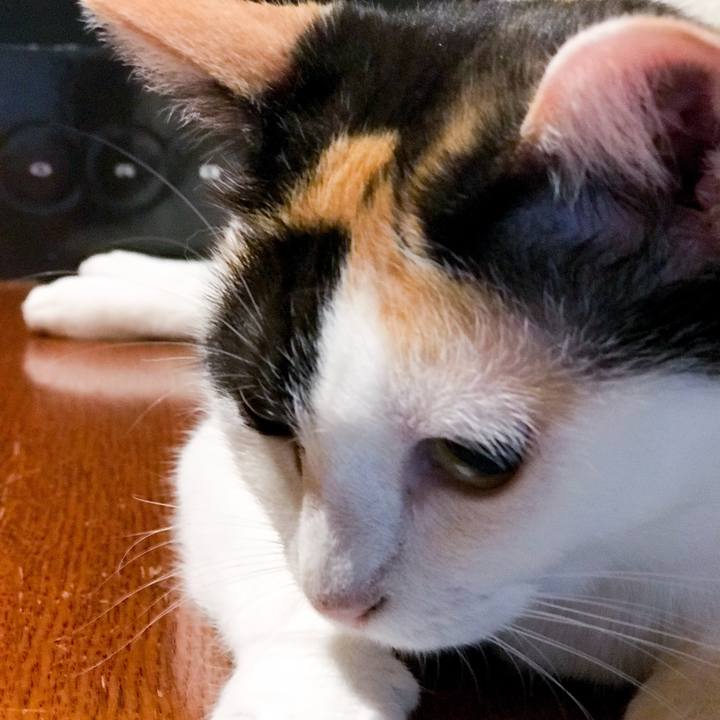 81627aa5 95cc 4264 a275 5b06a21a35ea 1534295772200