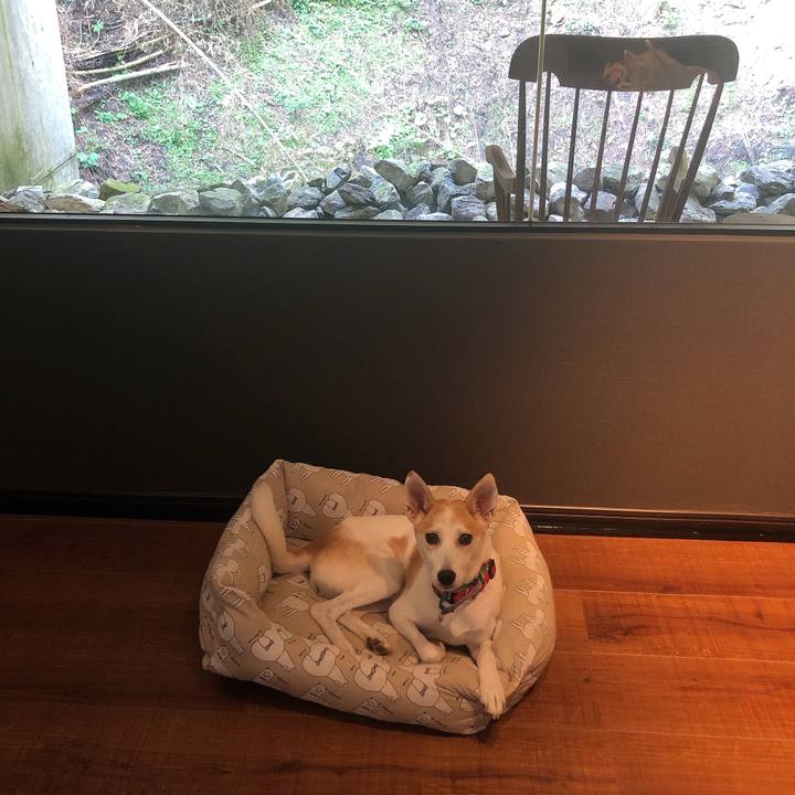 81628911 75c2 4bdc 8e90 a6f650f20933 1599142714449