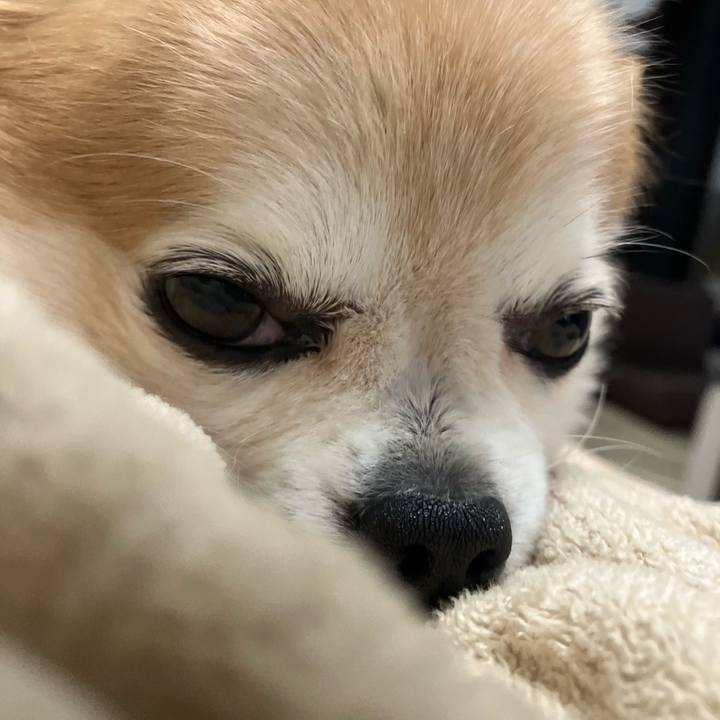 8162da77 ebe9 4438 990e 2f887f97d6b5 1755270511860