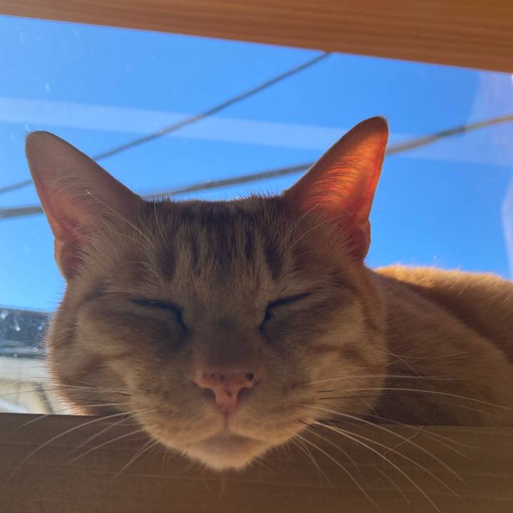 81630376 cbcd 4e39 9357 bc7ae42b02c2 1707609427407