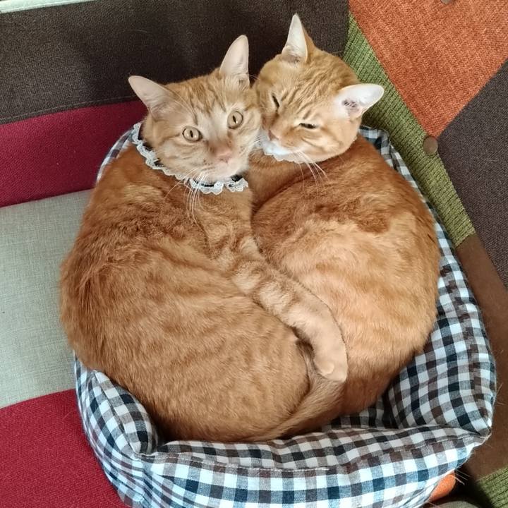 81631264 cc78 4604 902e ba91d3589591 1601282164785