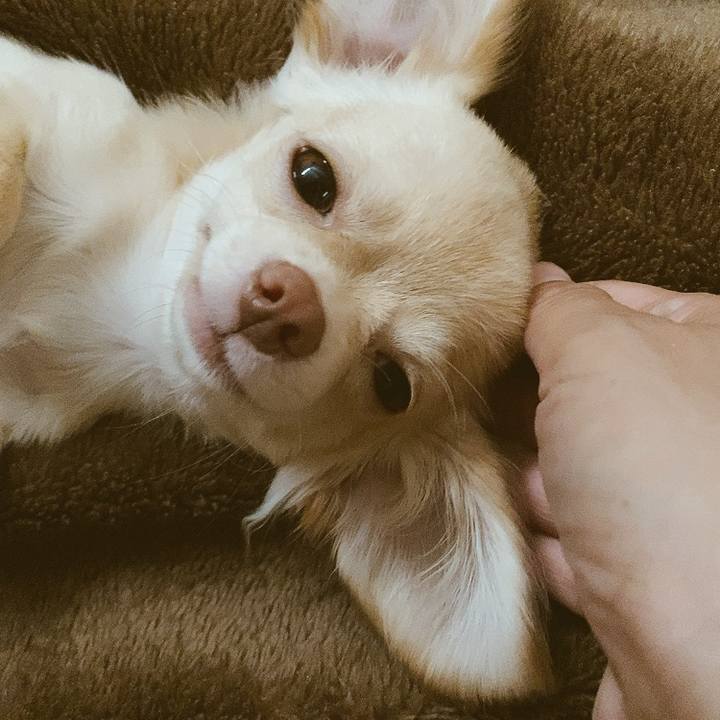 816341a9 03c6 4f0c 977c 72812f7c91f5 1596400955701