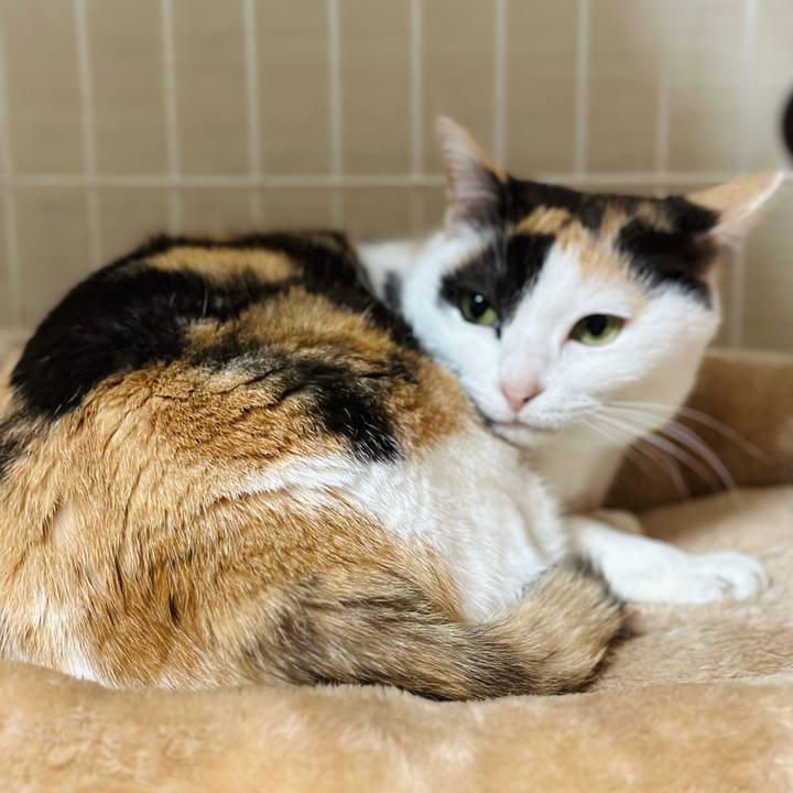 816343ab 20de 4182 8419 35c237ad4cf0 1682299375635