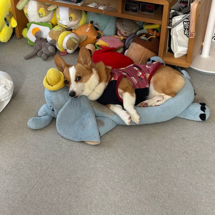 8163b01b feda 45f0 906e 3776cceb8049 1762907899645