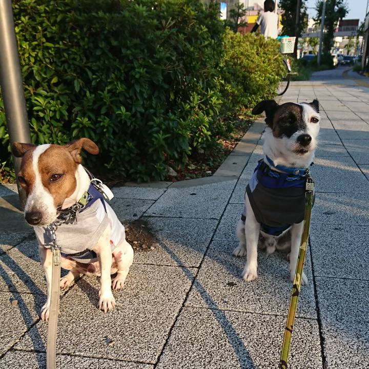 8163d63c d75d 498e a862 d1328c2a29cf 1568151570803