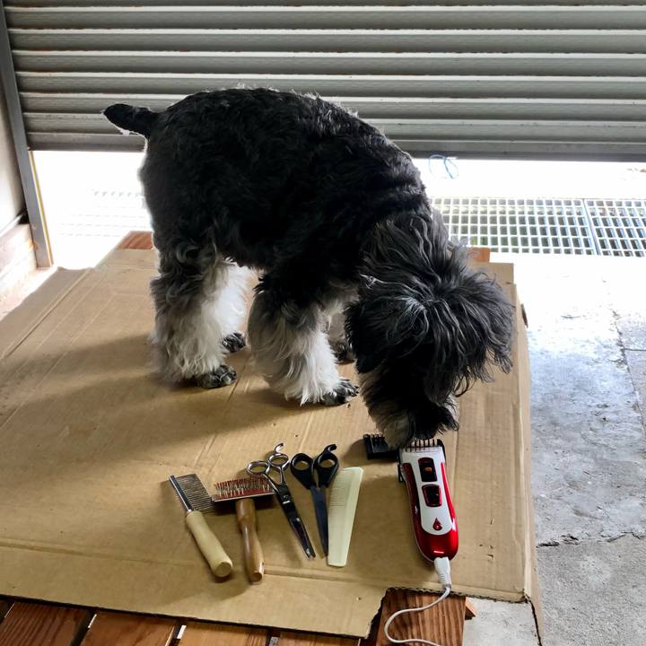 8163e878 79ca 40e0 ad2d c59c4f3fe7a6 1686378684612