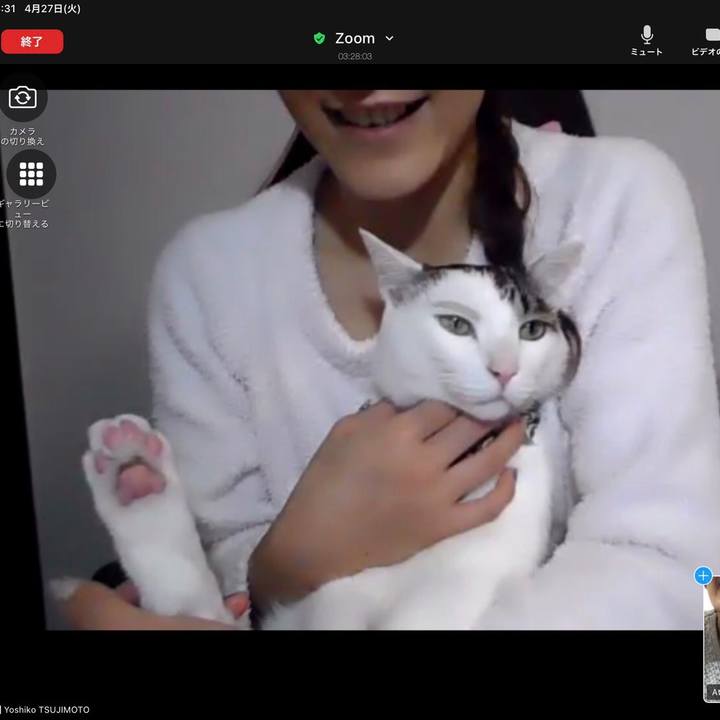 8164937e 77fc 4c1a 82d0 df9d502c46ce 1619602924598