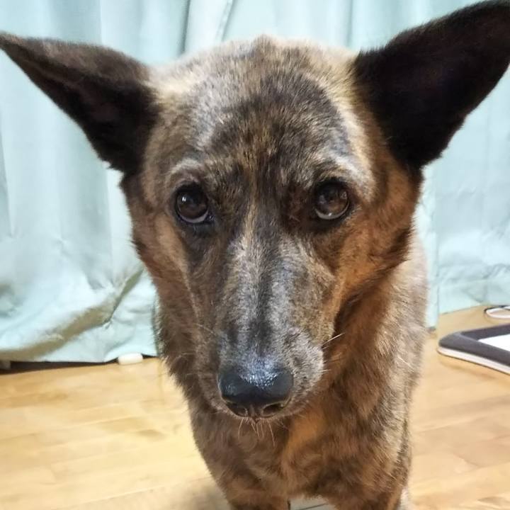 81649dcb d933 42d4 8186 a0ecb4e8dbe5 1531909013367