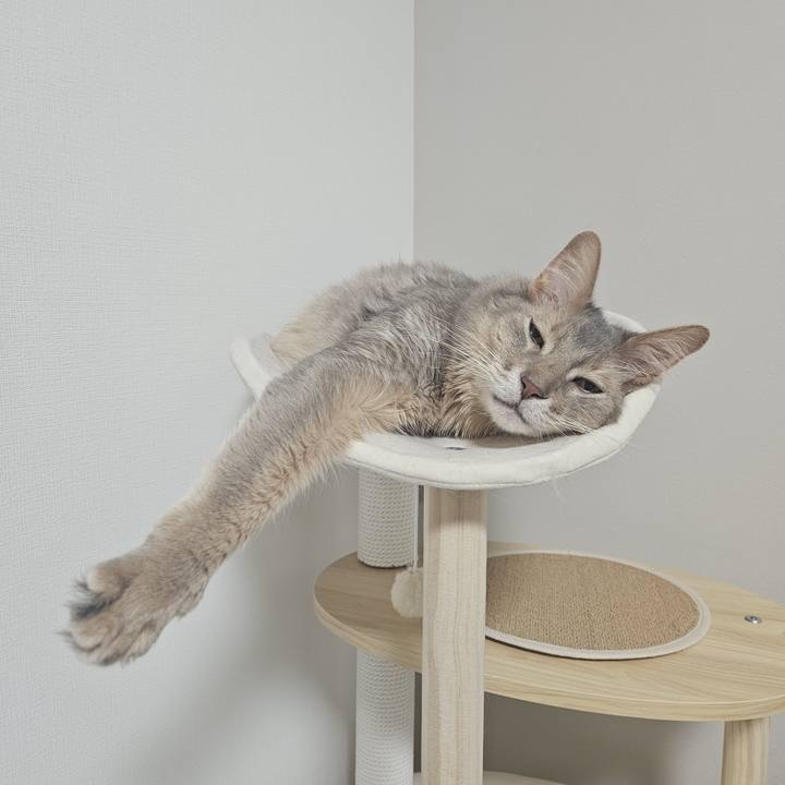 8164a903 51fc 44e2 a777 a2f8412c9a0e 1748056416465