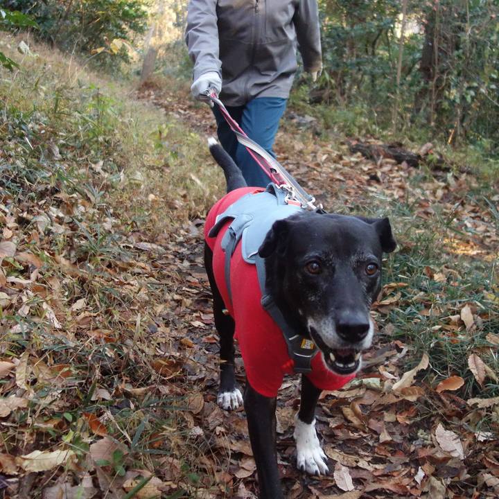 8164ab07 979e 420a 9656 63e18c8aa52a 1734482434405