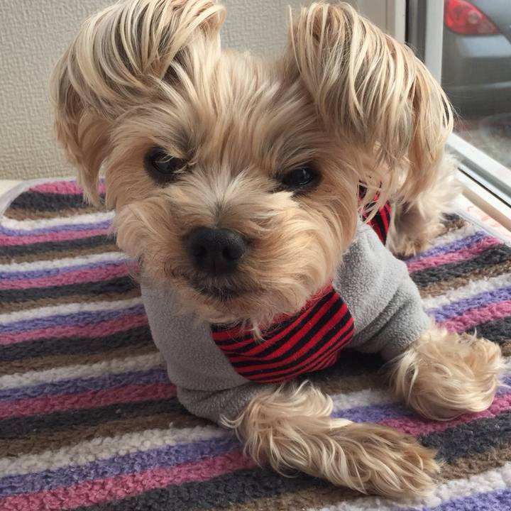 8164b25e 81f2 4daf 86a0 f00a332728b7 1522707960712