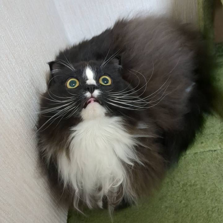 8164d258 bce4 4256 8ebb c37dcddbd168 1670208615578