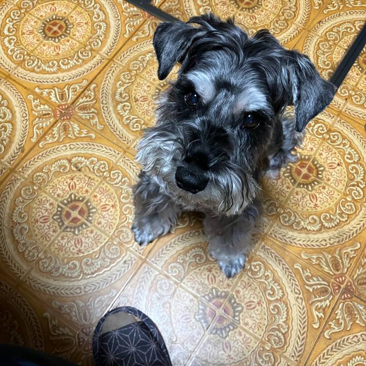 8164e129 5572 41ef b694 4eae226a3da4 1729764180560