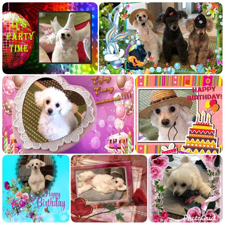 8165423c 1ece 4b58 be77 922f73501120 1573866750360