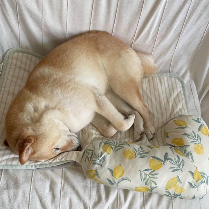 81659ace 953d 4030 b03a 922488552e43 1658364300417