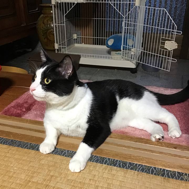 81659b70 76a7 48f1 b485 156f4e461551 1723628900022