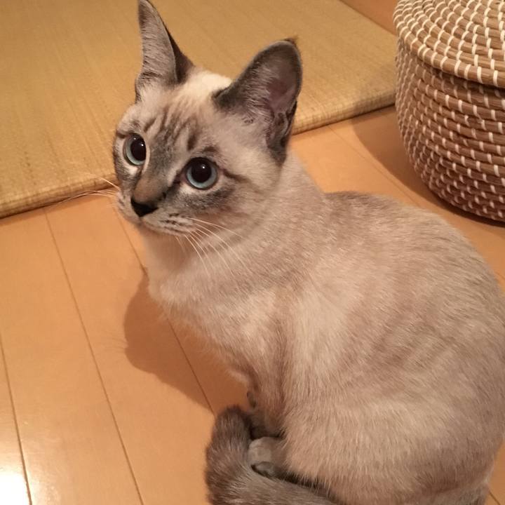 8165b1d4 291e 4f31 b233 1f00af9ad06f 1544615249234