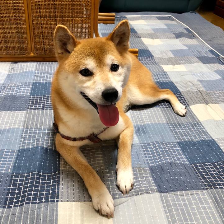 8165bae7 70e5 4b84 821d 4a73c3c25b77 1562410485690