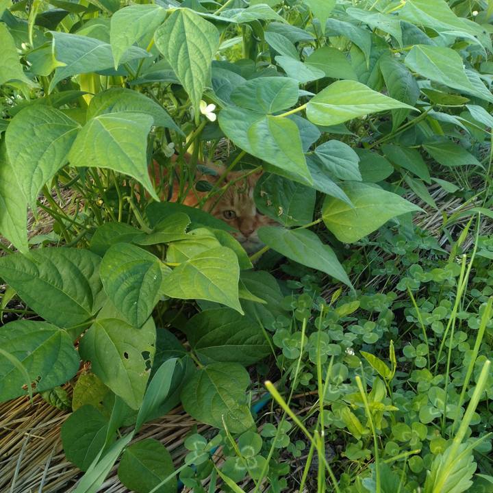 8165c821 ae53 4987 a419 b62f17cc7d36 1689241414881