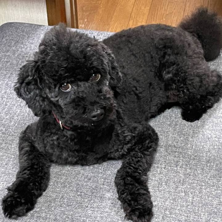 8165e434 17eb 4f37 97ab 36621ad76df0 1657943781578