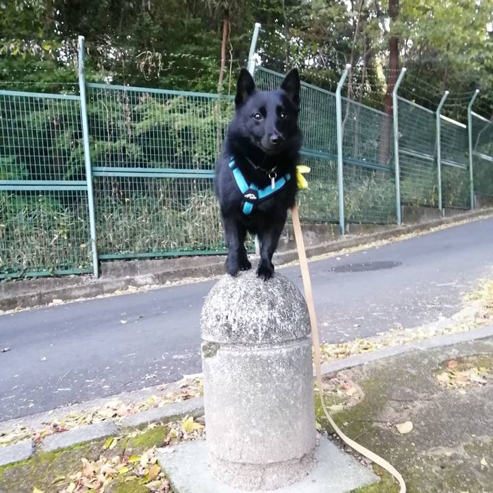 8165fce4 1b59 4118 9c3c 7a7b72bf475d 1638136427609