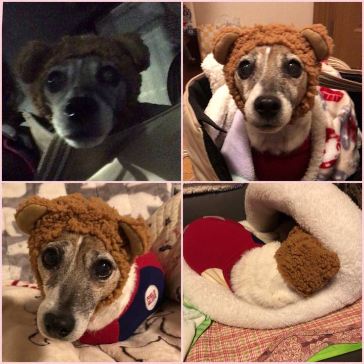 81660c6d a23b 4b68 b11d c555b41de389 1515414526583