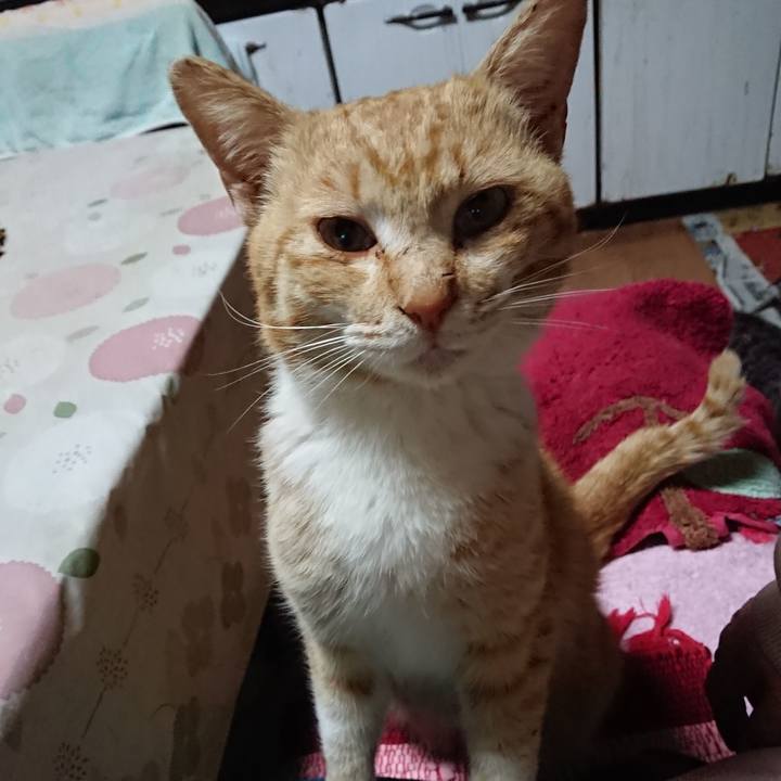 8166618b 98c6 4253 b3c3 7e9785d80e37 1554150895095