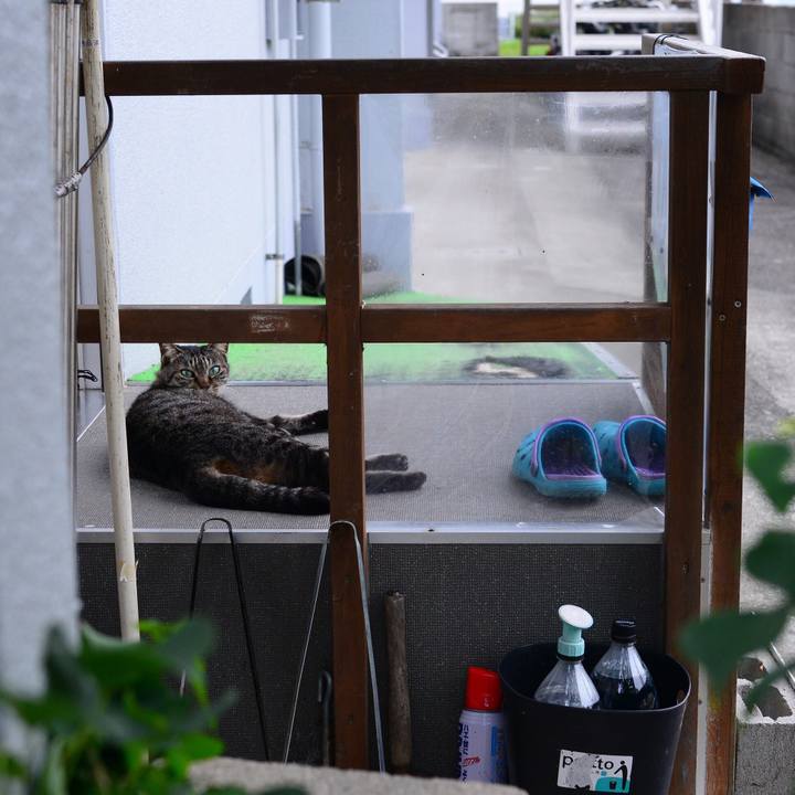 81666b1d e21b 4c7b acbc 0b724ea3a931 1536241218146