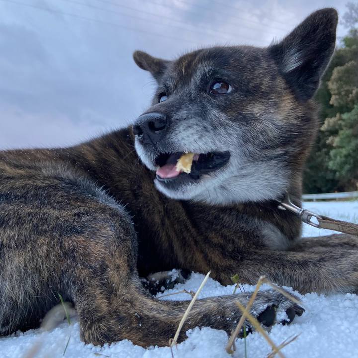 81667281 014a 4811 831c 461031323af0 1608071054554