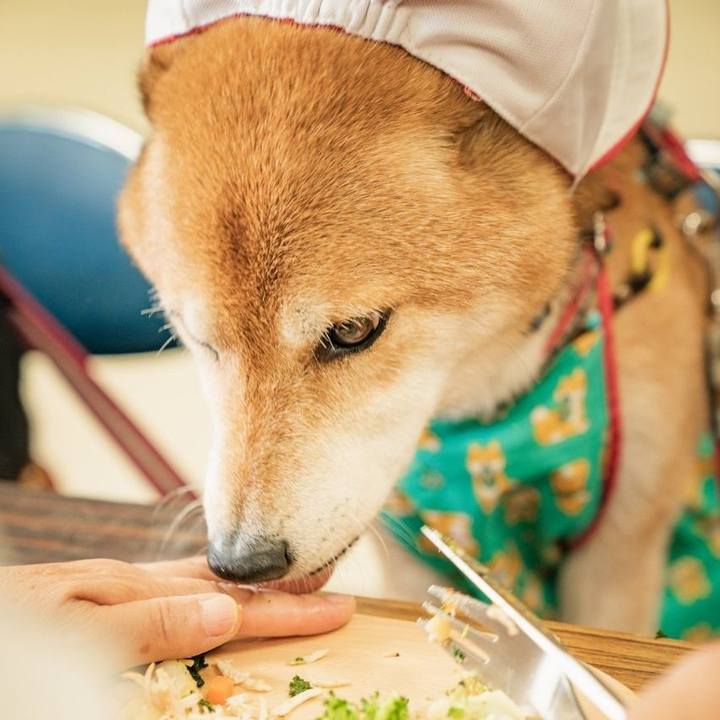 816685fa f1d2 4a2b a9e6 66958be79a2c 1724638153471