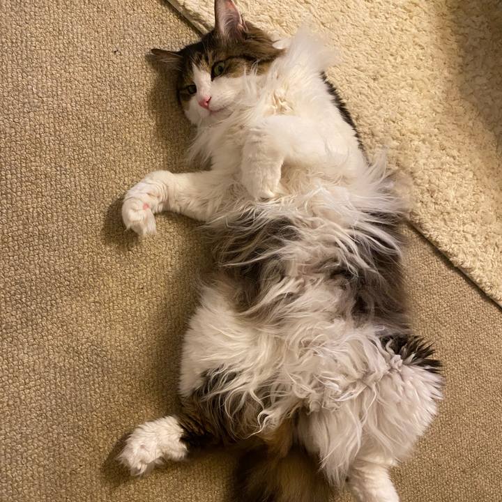 81669bbd dad7 4c73 93a3 605aae0d6255 1700014189210