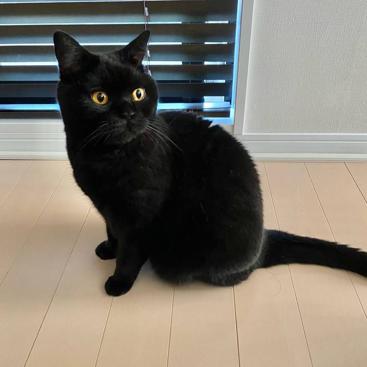 8166a96d 4e80 4f96 8434 5edd368e32c0 1663282848588