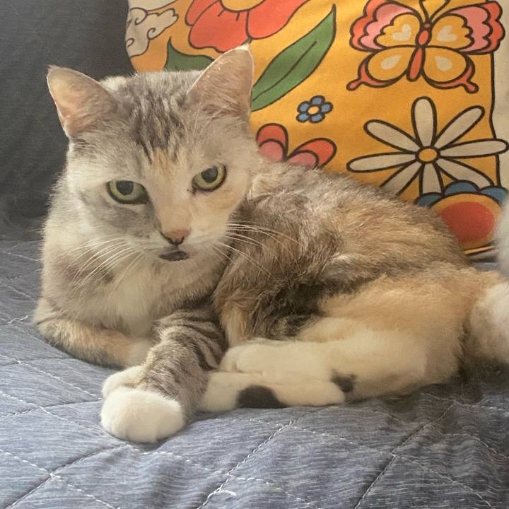 8166c92e e255 4f31 abcd 1cdaec0ce140 1760146398848